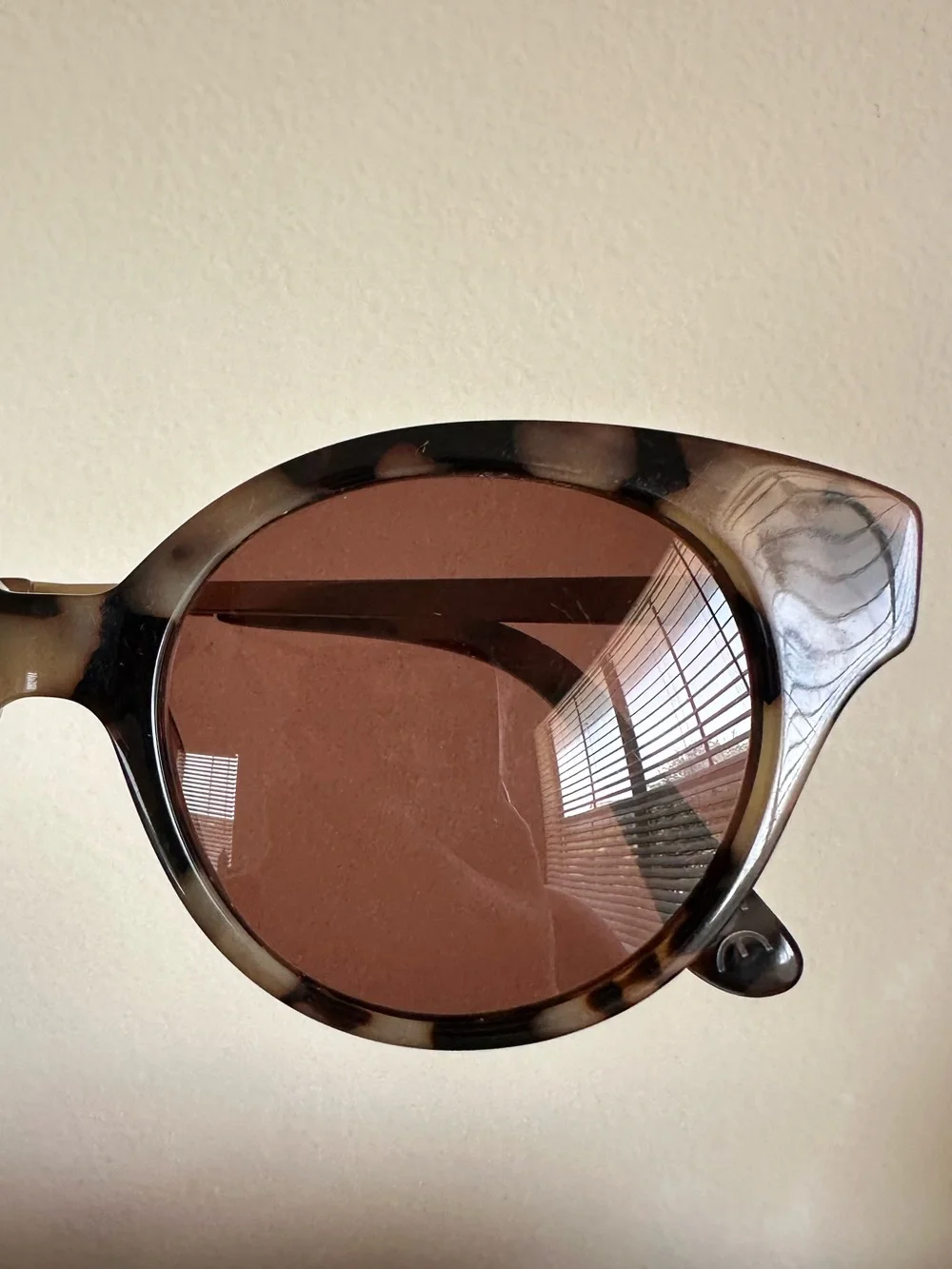 Madewell Athens Cat Eye Sunglasses